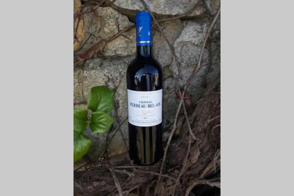 Gardegan-et-TourtiracWine Garden别墅 外观 照片